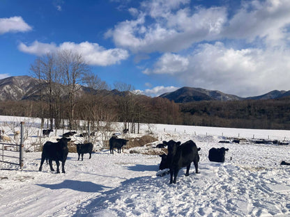 【定期】北海道食べる通信（2026年冬号）
