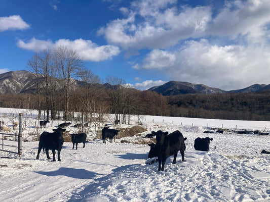 【定期】北海道食べる通信（2026年冬号）