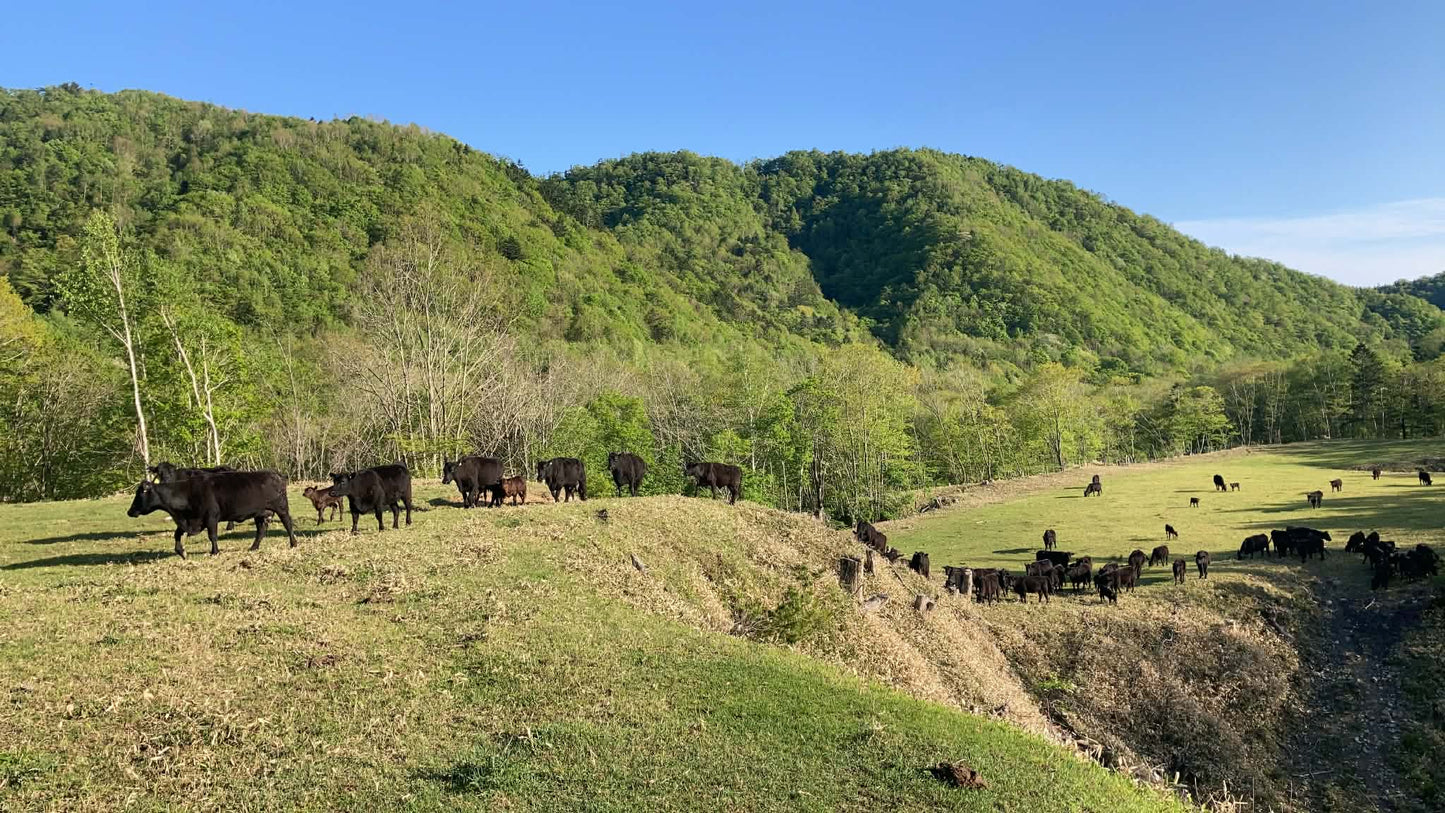 【定期】北海道食べる通信（2026年冬号）