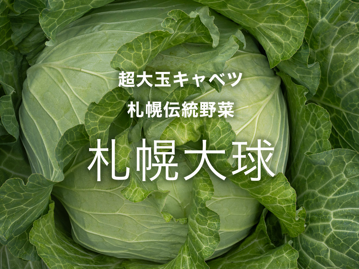 【お試し】北海道食べる通信（2025年秋号）