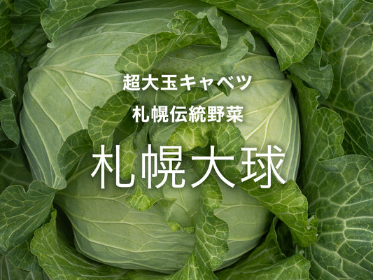 【お試し】北海道食べる通信（2025年秋号）